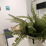 Apartmán Nautilus & *