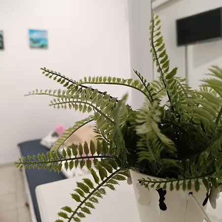 Apartment Nautilus & *